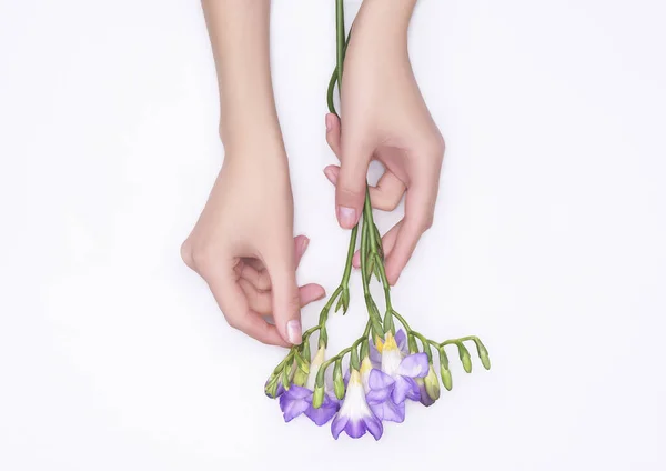 Mãos Mulher Com Flores Vista Superior — Fotografia de Stock