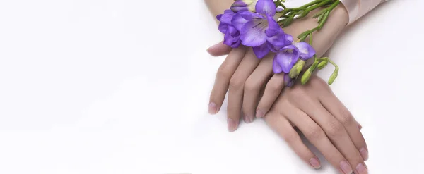 白い背景に孤立した花を持つ女性の手 — ストック写真