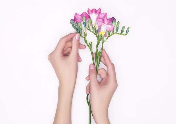 Mãos Femininas Com Flores Isoladas Fundo Branco — Fotografia de Stock