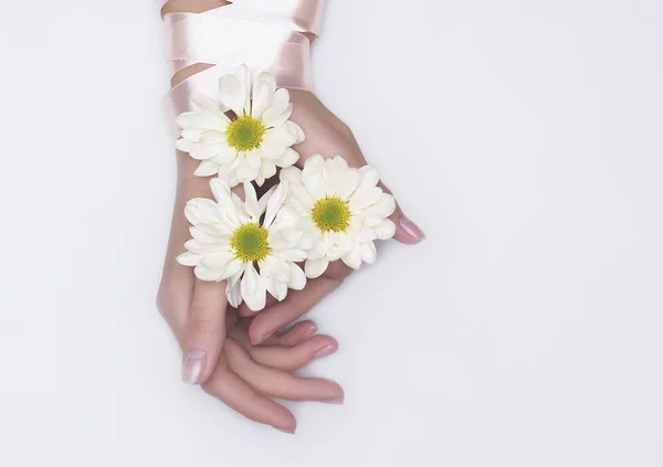 Mãos Mulher Com Flores Vista Superior — Fotografia de Stock