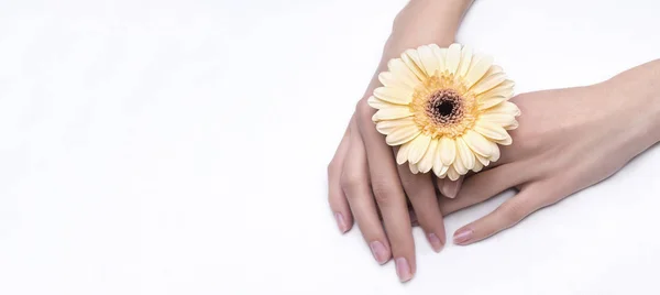 Mãos Mulher Com Flores Vista Superior — Fotografia de Stock