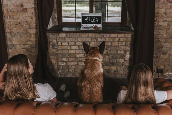 姐姐们在家里休息 两个女孩和小狗坐在床上看电视 宠物护理概念 图库照片
