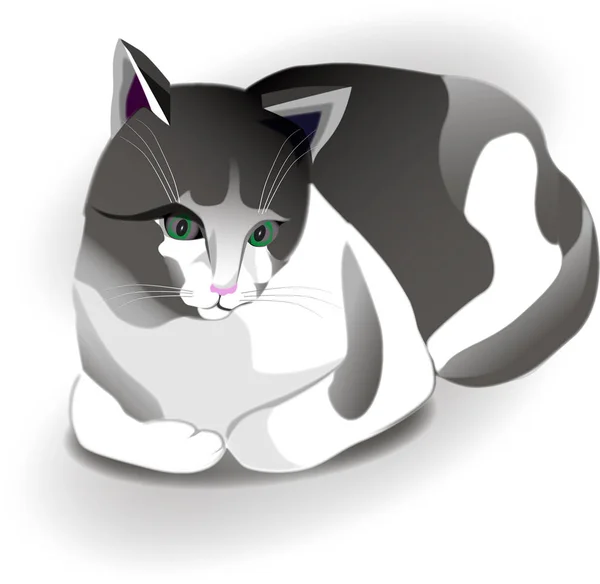 Çeviri: nazo82 Shagrathian