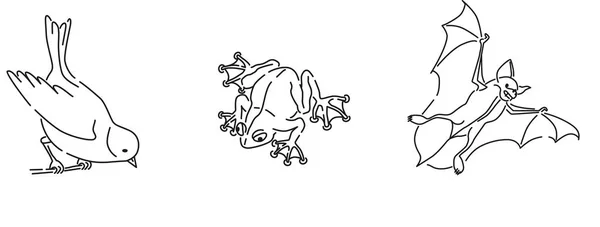 Çeviri: nazo82 Shagrathian