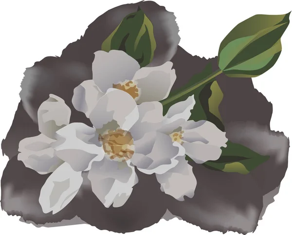 vektör çizimi, suluboya taklit 