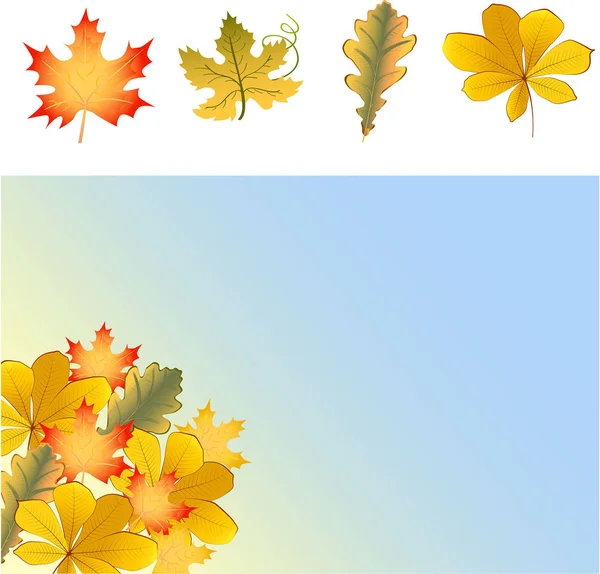 Çeviri: nazo82 Shagrathian