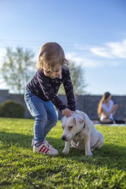 iki yaşında bir çocuk bir köpek ile bir bahçe keyfi