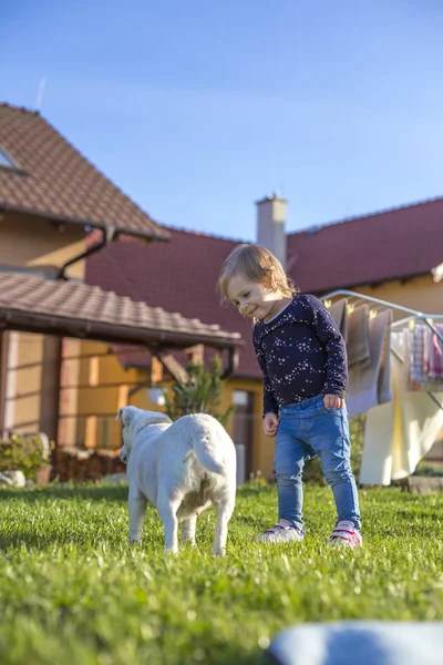 Enfant Deux Ans Jouissant Jardin Avec Chien — Photo