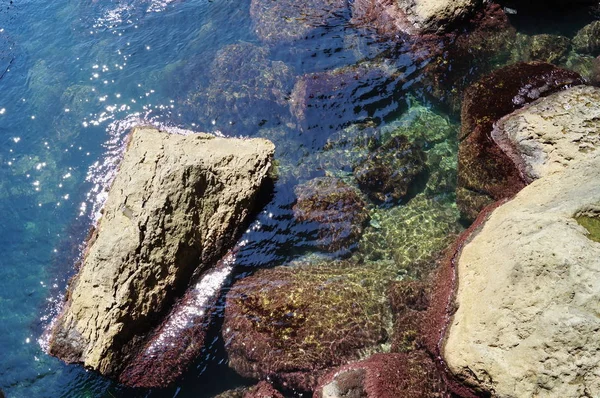 Karadeniz 'deki taşlar