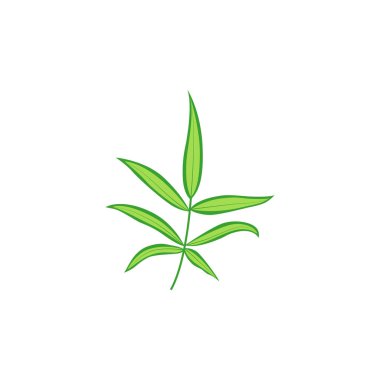 Vektör çizimi. Beyaz arkaplanda tropikal yaprak.