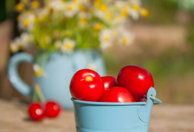 Masanın üstünde, dekoratif küçük bir kovada, yakın plan tatlı kirazlar, arka planda bir kupa papatya.