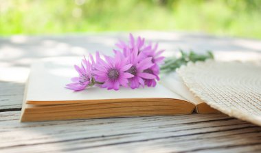 Bir buket taze koparılmış kır çiçeği açık bir kitabın sayfalarında yatıyor.