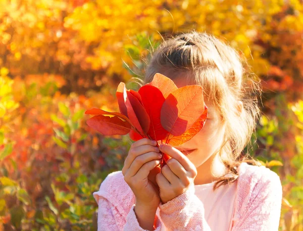 Menina Com Belas Folhas Outono Suas Mãos — Fotografia de Stock
