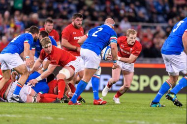 İtalyan Rugby Milli Takımı Guinness Altı Uluslu Rugby 2019 - İtalya Galler 'e Karşı