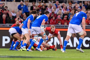 İtalyan Rugby Milli Takımı Guinness Altı Uluslu Rugby 2019 - İtalya Galler 'e Karşı