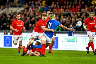 İtalyan Rugby Milli Takımı Guinness Altı Uluslu Rugby 2019 - İtalya Galler 'e Karşı