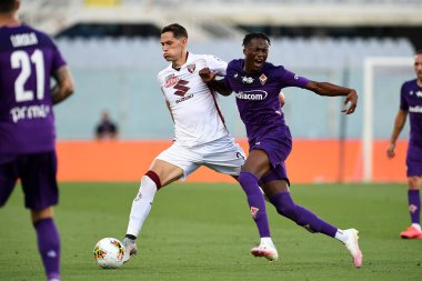 Torino FC 'den sasa lukiç Fiorentina' nın Torino 'ya açtığı Floransa, İtalya' daki Artemio Franchi Stadyumu 'nda 19 Temmuz 2020 - LM / Matteo Papini