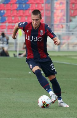 calcio serie a - bologna fc - mattias svanberg during Bologna FC italian football Serie A sezon 2019 / 2020, Bologna, İtalya, 01 Ocak 2020 - LM / Michele Nucci