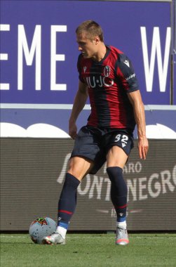 calcio serie a - bologna fc - mattias svanberg during Bologna FC italian football Serie A sezon 2019 / 2020, Bologna, İtalya, 01 Ocak 2020 - LM / Michele Nucci