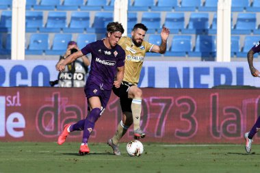 Dusan vlahoviç of acf fiorentina in action on nenad tomovic of spal vs SPAL vs ACF Fiorentina in ferrara, İtalya, 02 Ağustos 2020 - LM / Matteo Papini