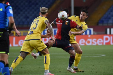 Cenova, İtalya 'da Hellas Verona' ya karşı Cenova, İtalya, 02 Ağustos 2020 - LM / Danilo Vigo