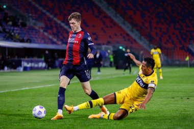 Bruno Alves (parma calcio 1913), İtalya 'nın Bologna kentindeki Dall & # 39; Ara Stadyumu' nda Bologna - LM / Francesco Scaccianoce