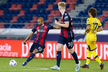 Danilo larangeira (bologna fc), İtalya 'nın Bologna kentindeki Dall & # 39; Ara Stadyumu' nda Bologna - LM / Francesco Scaccianoce