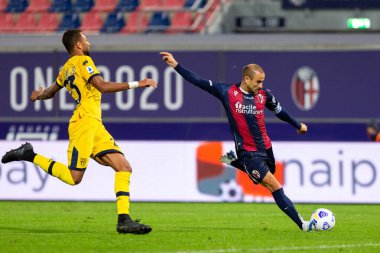 Rodrigo Palacio (bologna fc), İtalya 'nın Bologna kentindeki Dall & # 39; Ara Stadyumu' nda Bologna-Parma maçında gol attı.