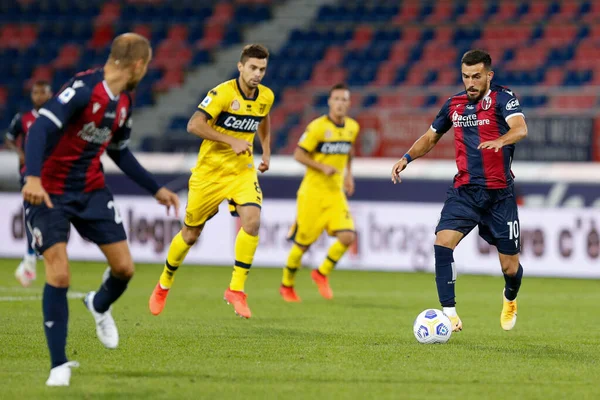 Nicola Sansone Bologna Durante Bolonia Parma Dall Estadio Ara Bolonia — Foto de Stock