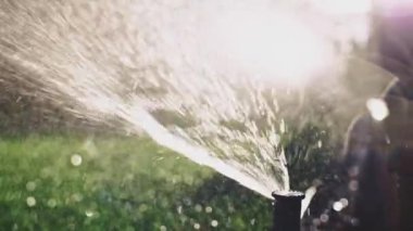 Yeşil çimenleri suluyorum. Yavaş bir hareket yap. Bahçeye fıskiyeden fışkıran tatlı su. Yaz bahçıvanlığı. Cereyan ve su krizine direniyor. Eko teknolojisi.
