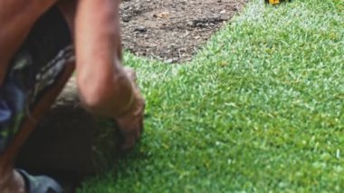 Çimenlik Yuvarlayan Adam. Çim yapıyorum. Yavaş bir hareket yap. Tanımlanamayan bahçıvan elleri yeşil çimlerden mükemmel bir çim oluşturuyor. Peyzaj tasarımı üzerinde çalışan kişi.