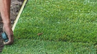 Çimenlik Yuvarlayan Adam. Çim yapıyorum. Yavaş bir hareket yap. Tanımlanamayan bahçıvan elleri yeşil çimlerden mükemmel bir çim oluşturuyor. Peyzaj tasarımı üzerinde çalışan kişi.