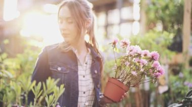 Sunlit Garden Shop 'tan çiçek alan kadın. 4 bin. Çiçekli sera pazarında dekoratif bitkiler için alışveriş yapan genç bir kadın. Ev ve Bahçe kavramı.