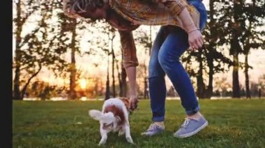 Puppy ile parkta oynayan bir kadın. Düşük Hareketli, Kararlı, DYNAMİK. 