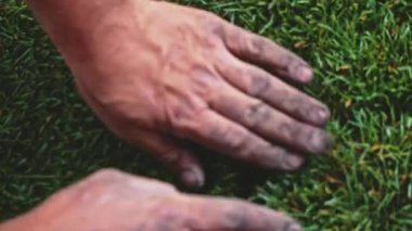 Çimenlik Yuvarlayan Adam. Çim yapıyorum. Yavaş bir hareket yap. Tanımlanamayan bahçıvan elleri yeşil çimlerden mükemmel bir çim oluşturuyor. Peyzaj tasarımı üzerinde çalışan kişi.