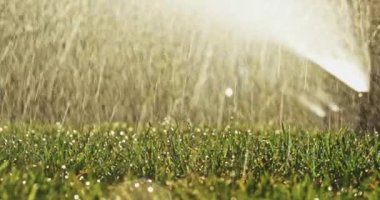 Yeşil çimenleri suluyorum. Yavaş bir hareket yap. Bahçeye fıskiyeden fışkıran tatlı su. Yaz bahçıvanlığı. Cereyan ve su krizine direniyor. Eko teknolojisi.