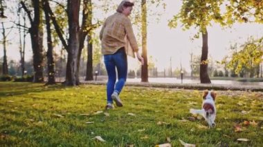 Parkta bir kadınla koştuğun için mutlu köpek yavrusu. Yavaş hareket, dengeli, dinamik. Tamam mı? Şövalye Kral Charles Spaniel bebek köpek güneşli günbatımının tadını çıkarıyor, koşuyor ve kızlarla oynuyor. Evcil hayvan ve sahibinin aşkı.