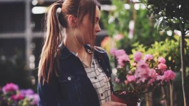 Sunlit Garden Shop 'tan çiçek alan kadın. 4 bin. Çiçekli sera pazarında dekoratif bitkiler için alışveriş yapan genç bir kadın. Ev ve Bahçe kavramı.