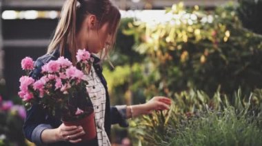 Sunlit Garden Shop 'tan çiçek alan kadın. 4 bin. Çiçekli sera pazarında dekoratif bitkiler için alışveriş yapan genç bir kadın. Ev ve Bahçe kavramı.