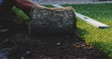 Çimenlik Yuvarlayan Adam. Çim yapıyorum. Yavaş bir hareket yap. Tanımlanamayan bahçıvan elleri yeşil çimlerden mükemmel bir çim oluşturuyor. Peyzaj tasarımı üzerinde çalışan kişi.