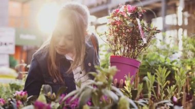 Sunlit Garden Shop 'tan çiçek alan kadın. 4 bin. Çiçekli sera pazarında dekoratif bitkiler için alışveriş yapan genç bir kadın. Ev ve Bahçe kavramı.