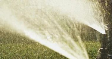 Yeşil çimenleri suluyorum. Yavaş bir hareket yap. Bahçeye fıskiyeden fışkıran tatlı su. Yaz bahçıvanlığı. Cereyan ve su krizine direniyor. Eko teknolojisi.