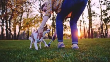 Puppy ile parkta oynayan bir kadın. Yavaş hareket, dengeli, dinamik. Tamam mı? Şövalye Kral Charles Spaniel bebek köpek güneşli günbatımının tadını çıkarıyor, koşuyor ve mutlu kızla zıplıyor. Evcil hayvan ve sahibinin aşkı.