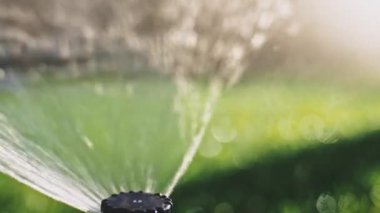 Yeşil çimenleri suluyorum. Yavaş bir hareket yap. Bahçeye fıskiyeden fışkıran tatlı su. Yaz bahçıvanlığı. Cereyan ve su krizine direniyor. Eko teknolojisi.