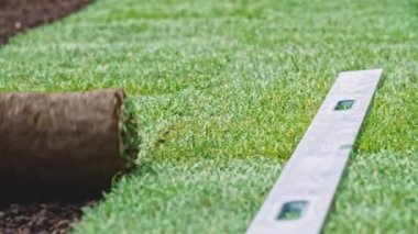 Çimenlik Yuvarlayan Adam. Çim yapıyorum. Yavaş bir hareket yap. Tanımlanamayan bahçıvan elleri yeşil çimlerden mükemmel bir çim oluşturuyor. Peyzaj tasarımı üzerinde çalışan kişi.