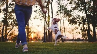 Puppy ile parkta oynayan bir kadın. Düşük Hareketli, Kararlı, DYNAMİK. 