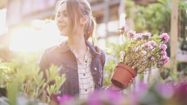 Sunlit Garden Shop 'tan çiçek alan kadın. 4 bin. Çiçekli sera pazarında dekoratif bitkiler için alışveriş yapan genç bir kadın. Ev ve Bahçe kavramı.