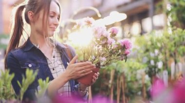 Sunlit Garden Shop 'tan çiçek alan kadın. 4 bin. Çiçekli sera pazarında dekoratif bitkiler için alışveriş yapan genç bir kadın. Ev ve Bahçe kavramı.
