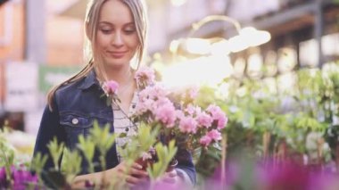 Sunlit Garden Shop 'tan çiçek alan kadın. 4 bin. Çiçekli sera pazarında dekoratif bitkiler için alışveriş yapan genç bir kadın. Ev ve Bahçe kavramı.