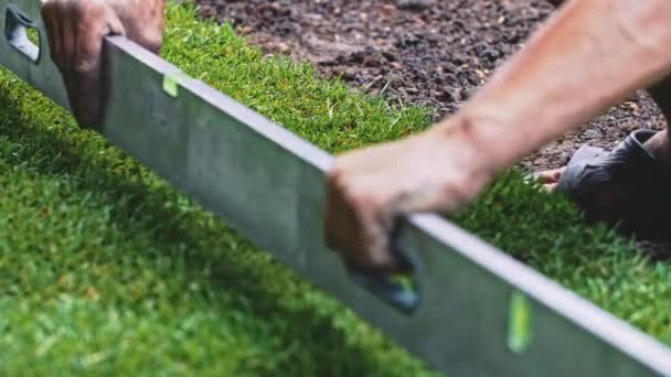 Man Laying Out Rolls Sod Making Lawn Slow Motion Unrecognizable — Stock Video